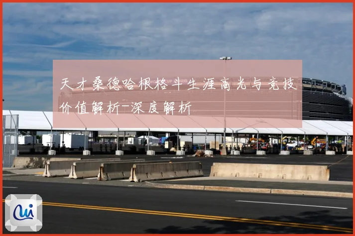 天才桑德哈根格斗生涯高光与竞技价值解析-深度解析